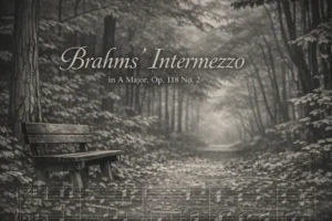 From Goosebumps to Grace: The Power of Brahms’ Piano Masterpiece
